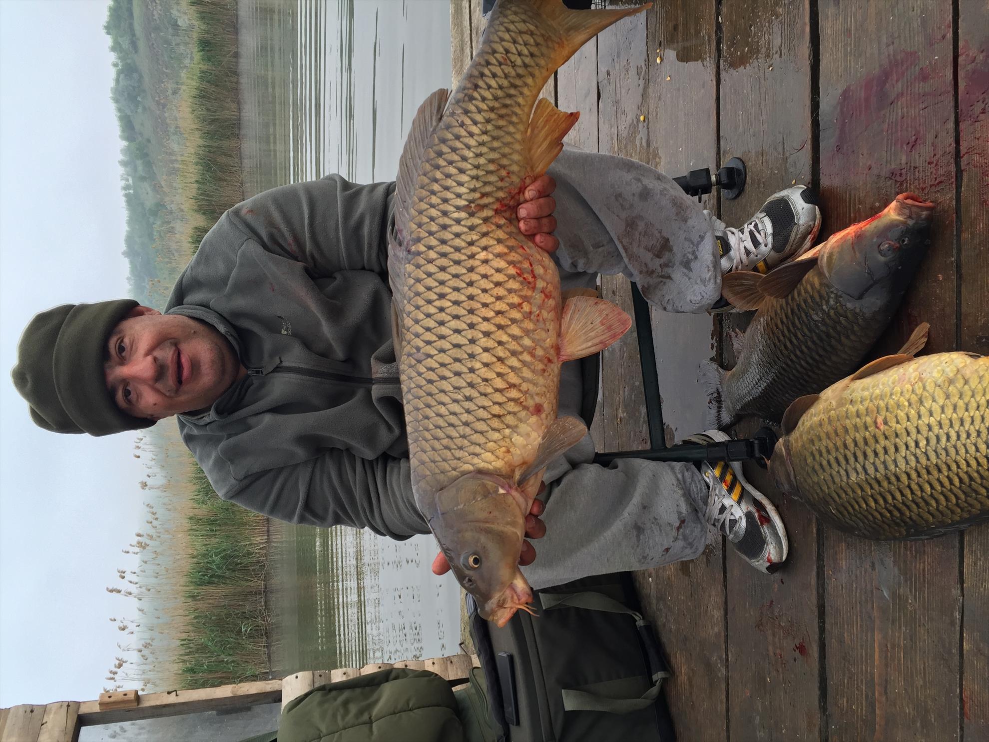 cristi stanciulescu - image1111.jpeg